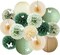 Sage Olive Green Party Decorations Boho Bridal Shower Decorations Olive Sage Green Paper Lanterns Beige Fans Poms